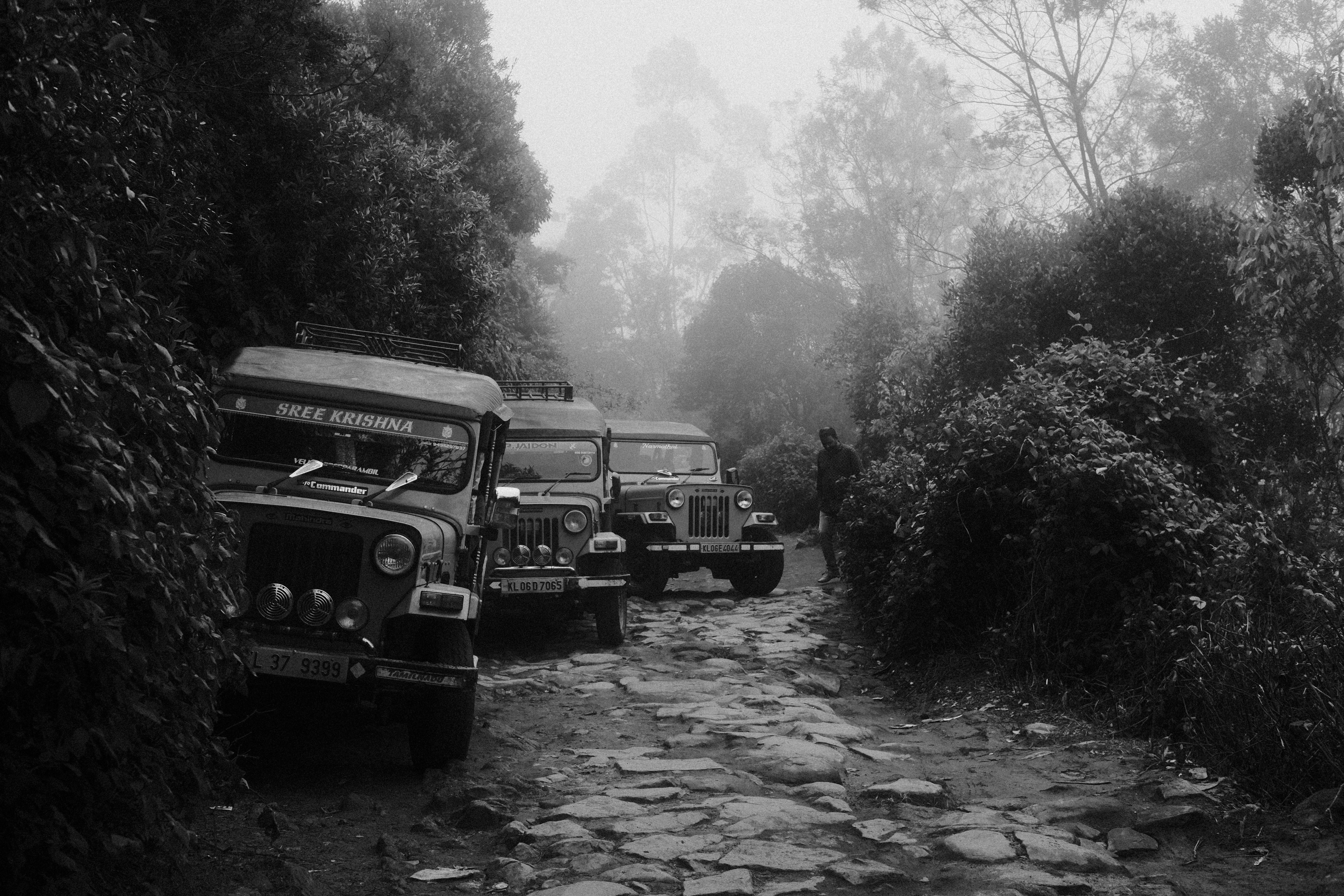 munnar tour 3